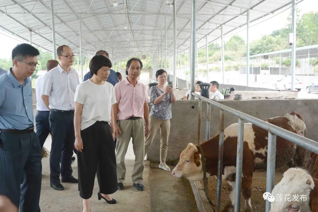 08-05-090682-937623563