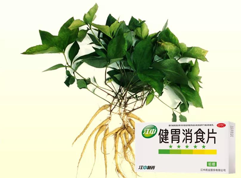 健胃消食片.jpg