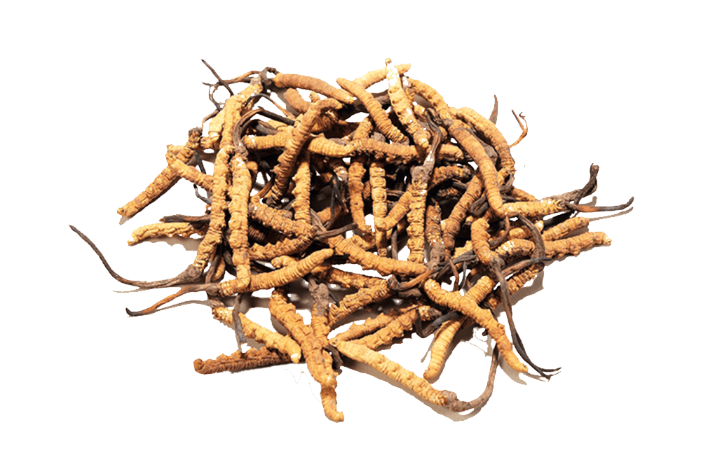 5d134ae2-e1c1-4796-adbc-6f61c181b073